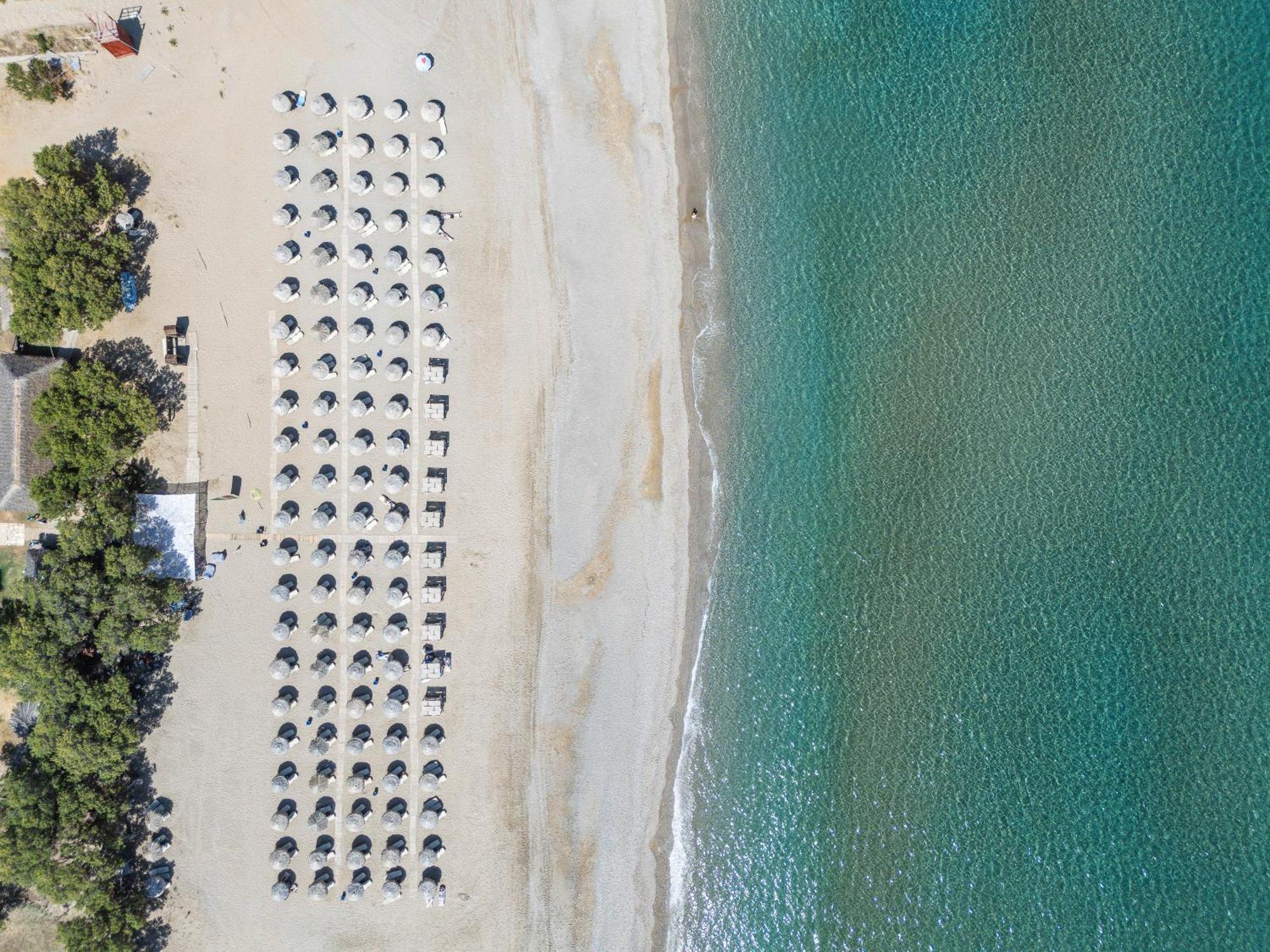 Hotel Iosifina, 80 Metres From Episkopi Beach! Dhramia Luaran gambar